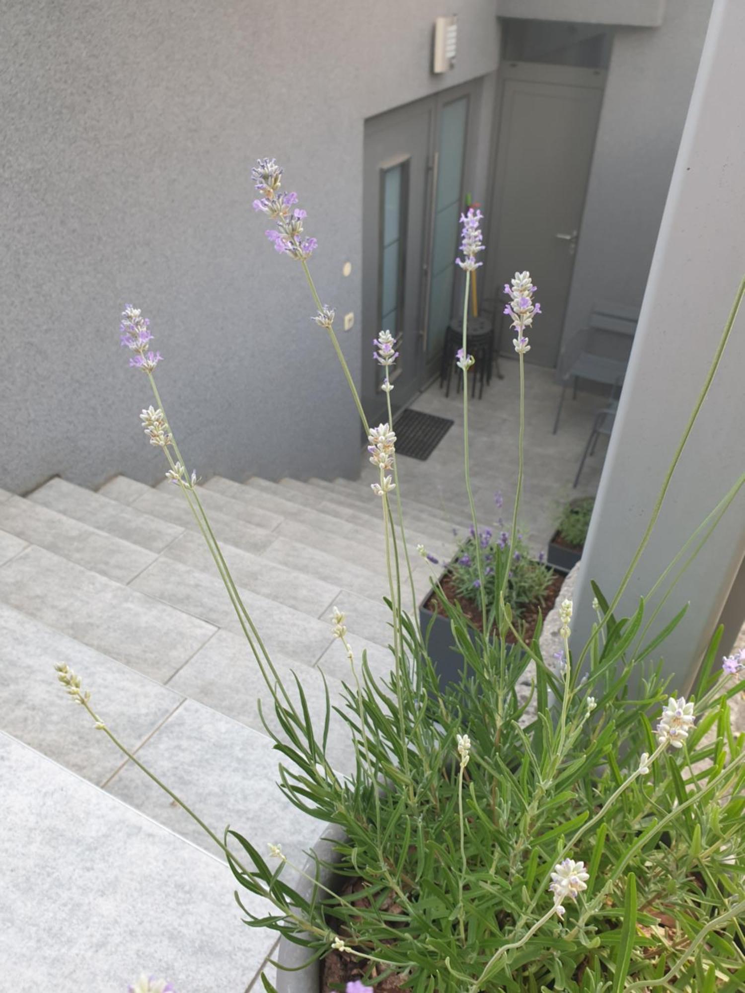 Apartment Emma Ljubljana - Free Parking, Ac, Wifi 客房 照片