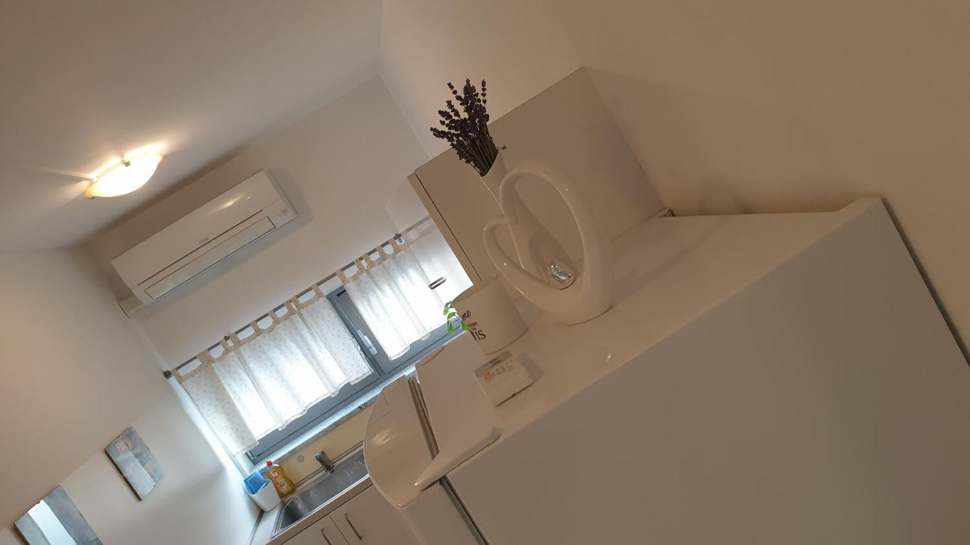 Apartment Emma Ljubljana - Free Parking, Ac, Wifi 客房 照片